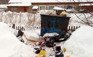 Ситуация с вывозом мусора в сёлах Искитимского района остается напряженной