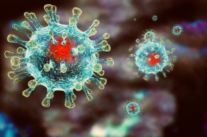 В Новосибирской области выявлен первый случай заражения коронавирусом