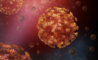 Озвучено количество заболевших коронавирусом в Новосибирске на утро 24 марта