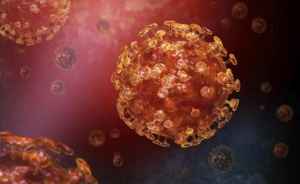 Пятый случай заболевания коронавирусом выявлен в Новосибирской области