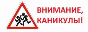 С 1 июля в Новосибирской области стартовали профилактические мероприятия "Внимание, каникулы!"