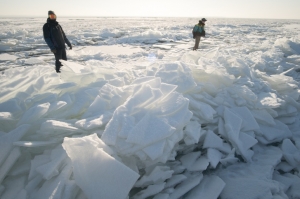 Преодолели 20 километров по льду, выехали на берег у деревни Бурмистрово, а потом снова умчались в море