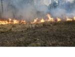 Особый противопожарный режим продлен в Новосибирской области до 15 мая