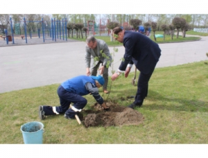 Глава Искитима Сергей Завражин посадил деревья в рамках акции «Сад памяти»