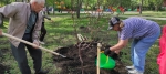 Ещё 30 яблонь высадили в Искитиме в рамках акции «Сад памяти»