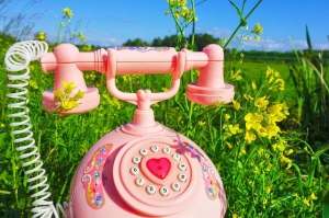 1 июня с 10.00 до 13.00 в рамках Международного Дня защиты детей состоится «прямая телефонная линия» на тему «О мерах по обеспечению прав детей на территории Новосибирской области»