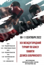 Турнир по боксу памяти Дениса Бобринского пройдет в Искитиме 8-11 сентября