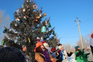 Новогоднюю живую ель семи метров высотой установили для ребятни в районе "шестого завода" Искитима