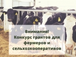 Фермеров Искитимского района приглашают принять участие в конкурсе на получение грантов «Агростартап»