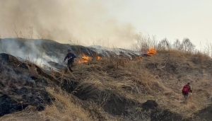 Между Улыбино и Чупино тушили ландшафтный пожар