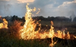 Особый противопожарный режим в Новосибирской области продлен до 23 мая