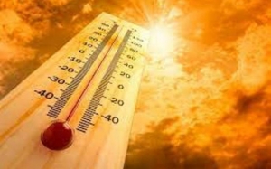С 1 по 7 июня в НСО ожидается аномально жаркая погода