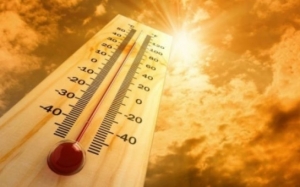С 11 по 15 июля в НСО ожидается аномально жаркая погода с максимальными температурными значениями +30 и выше