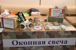 Искитимцы приняли участие в Первом форуме волонтерских движений Новосибирской области «ТЫЛ НСО»