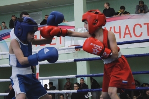 Турнир по боксу в Искитиме посвятили памяти Сергея Гордеева